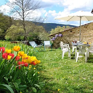 Casa Al Miglio , Pratolino Italia